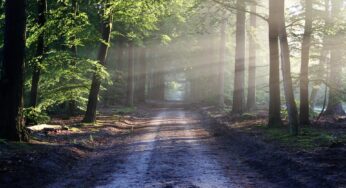 The Path to a Career in United States Government: Tips and Advice